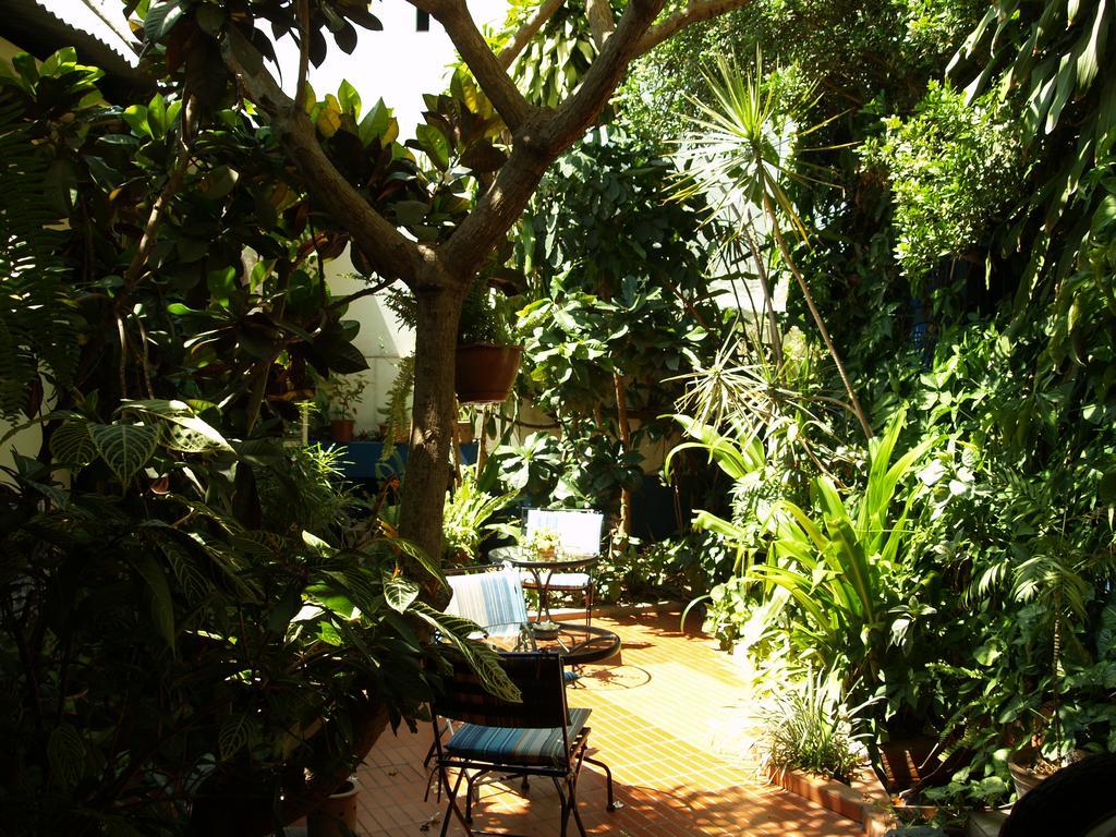 Palmeiras Guest House Maputo Ngoại thất bức ảnh